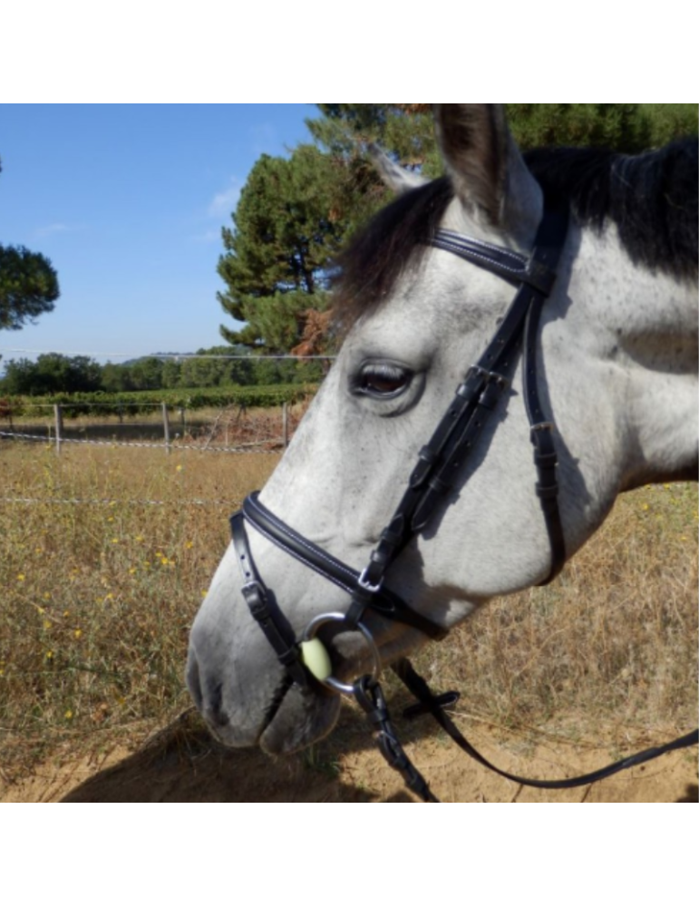 Bridon muserolle combinée SB – Sellerie Baude