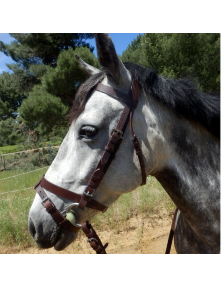 Bridon cuir large - SB