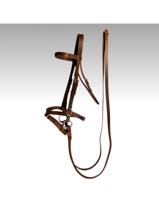 Bridon cuir large - SB