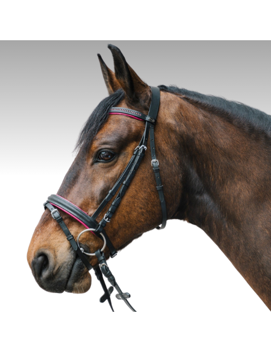 Bridon Diamond - STAR