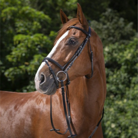 Bridon Muserolle combiné RIDING 2