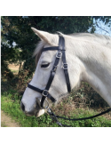Bridon-licol de randonnée en cuir SB – Sellerie Baude