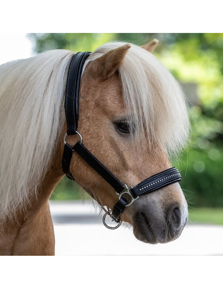 STAR Licol en cuir Diamond
