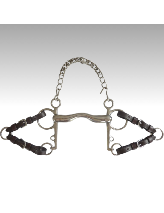 Alliances de pelham NORTON