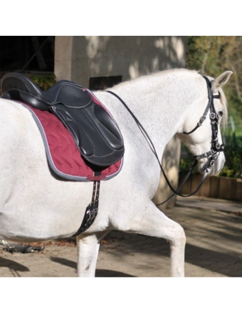 Bride portugaise SB – Sellerie Baude