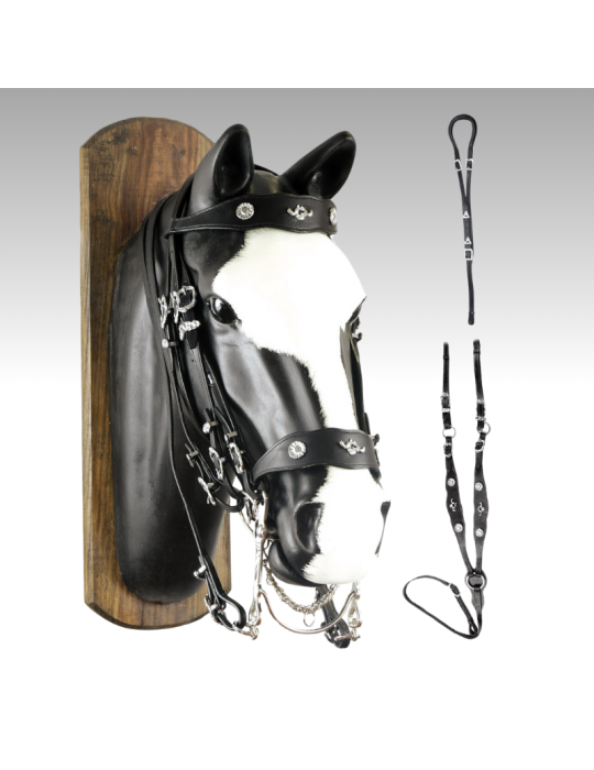 Bride collier chasse croupière