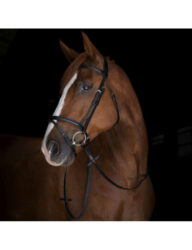 Rênes hunter ERIC THOMAS