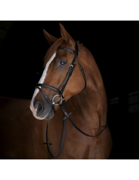 Rênes hunter ERIC THOMAS