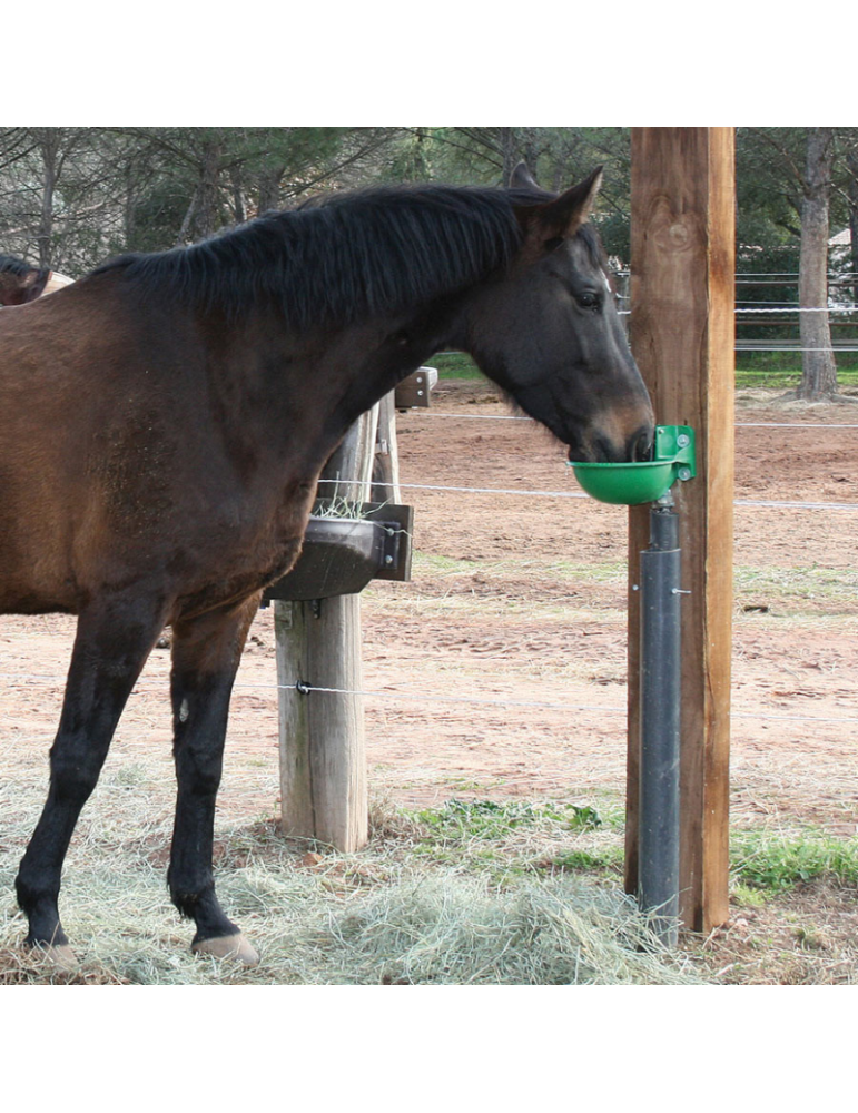 Abreuvoir synthétique à palette horizontale