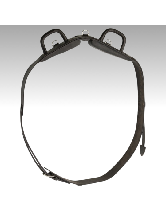 Surfaix de voltige NORTON CLUB