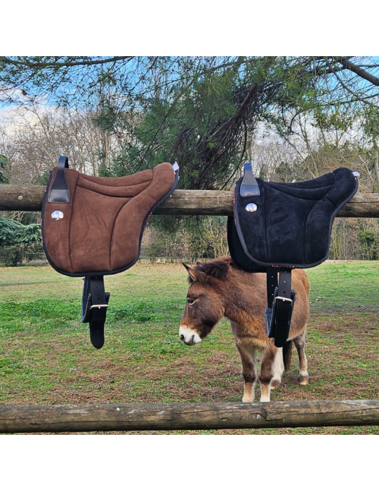 Bareback Shetland - PIONEER