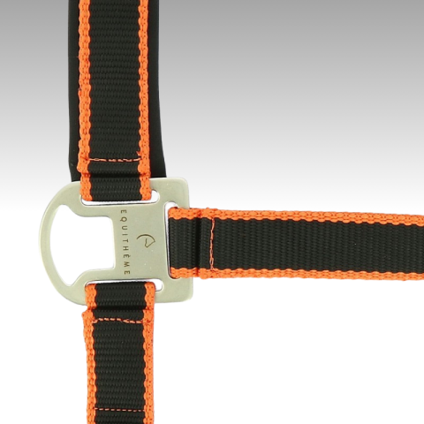 Licol + longe EQUITHÈME "Satiné" 2