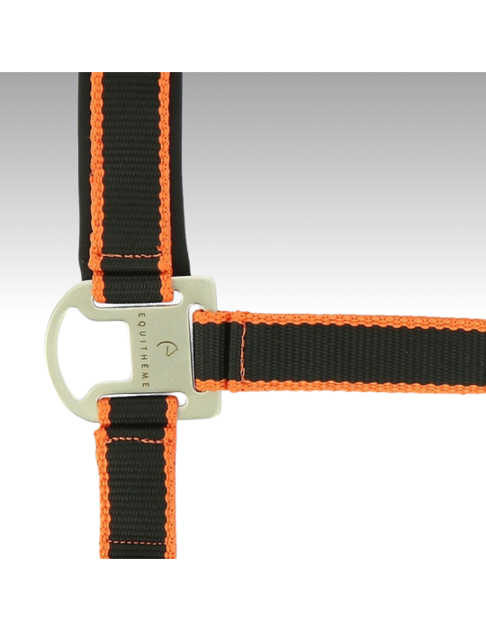 Licol + longe EQUITHÈME "Satiné"