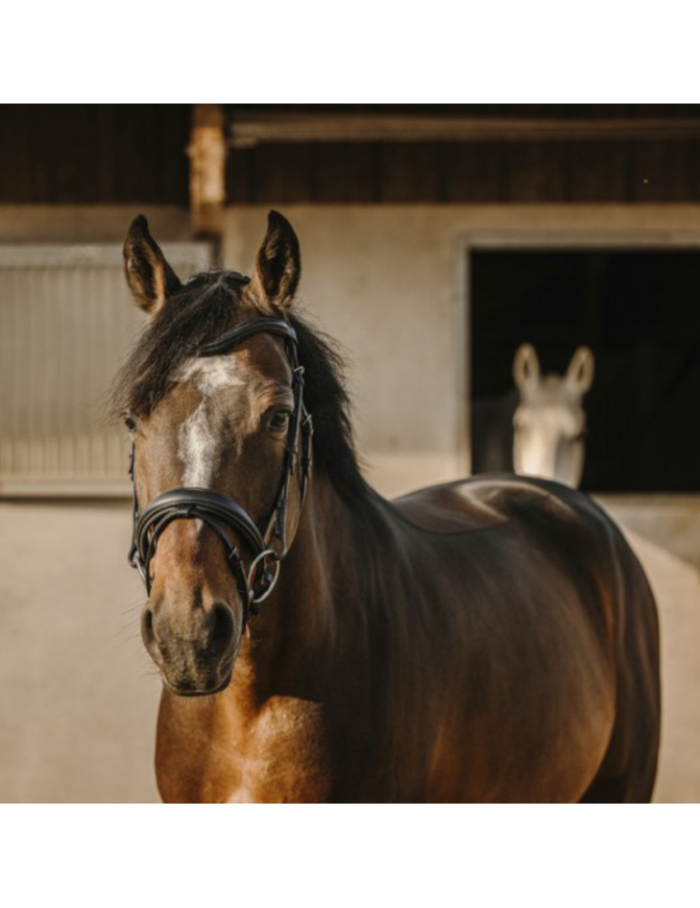 Bridon ERIC THOMAS "Bat"