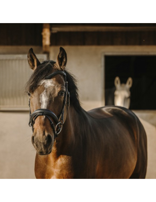 Bridon ERIC THOMAS "Bat"