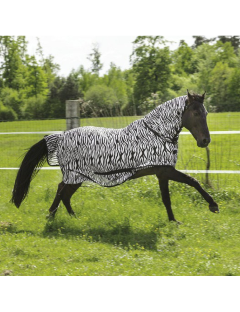 Chemise filet RIDING WORLD "Combo"