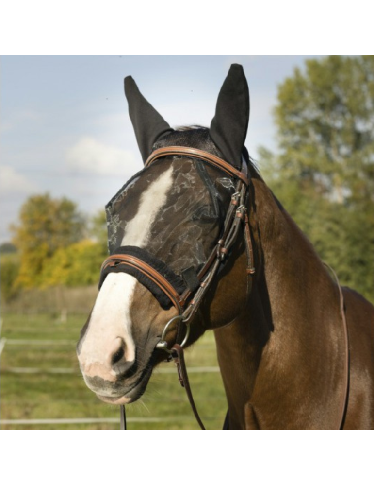 Masque EQUITHÈME "Training"