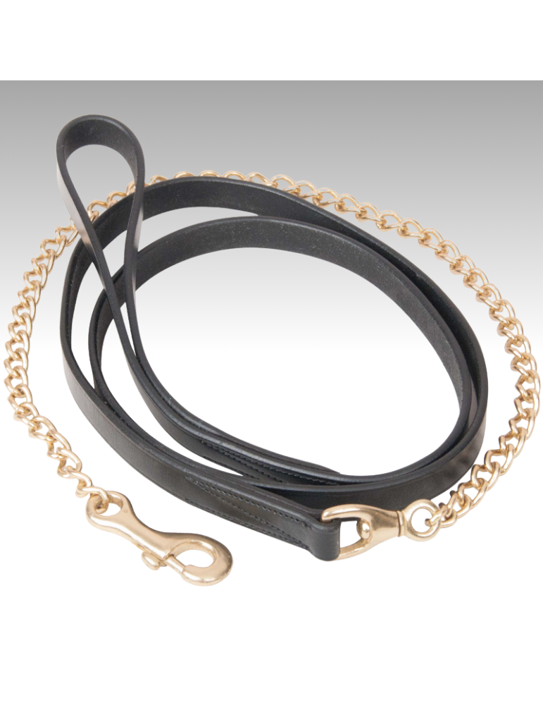 Longe de présentation simple