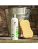 Shampoing antibactérien Gallop