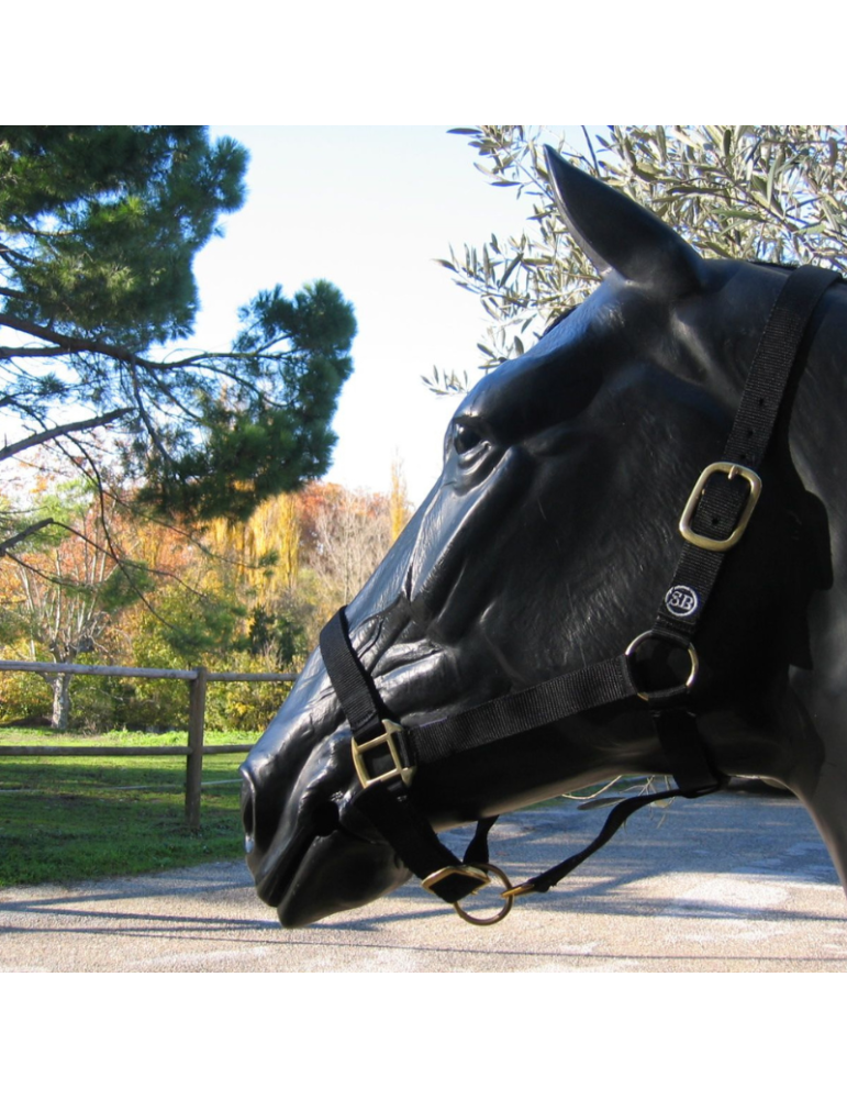 Licol nylon couleur unie SB