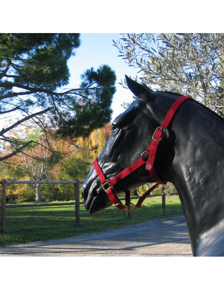 Licol nylon couleur unie SB