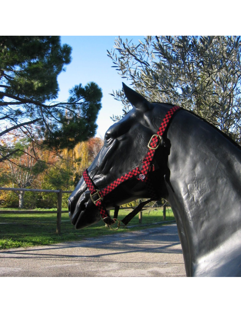 Licol nylon à carreaux SB