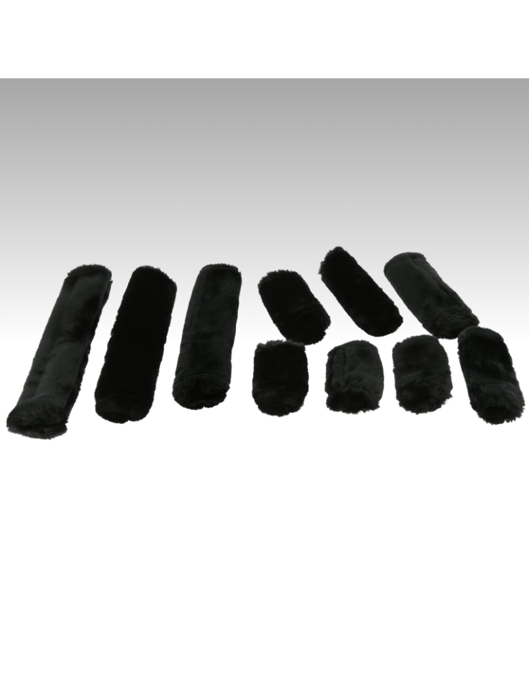 SET LICOL EQUITHÈME TEDDY