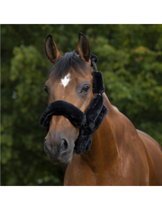 SET LICOL EQUITHÈME TEDDY