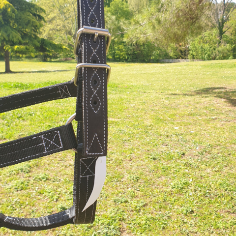 Licol renforcé SB 2