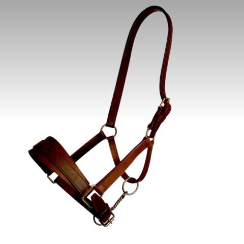 Licol d'artillerie en cuir SB