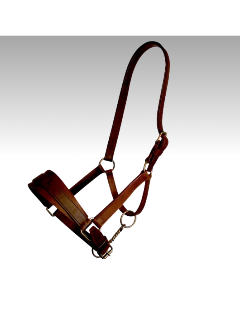 Licol d'artillerie en cuir SB