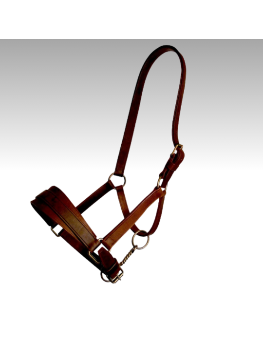 Licol d'artillerie en cuir SB