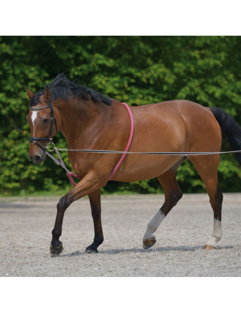 Enrênement spécial