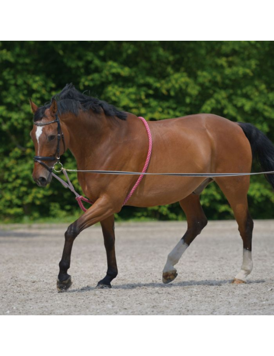 Enrênement spécial