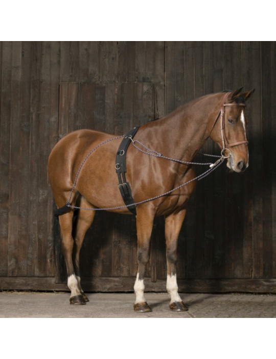 Enrênement à poulies NORTON