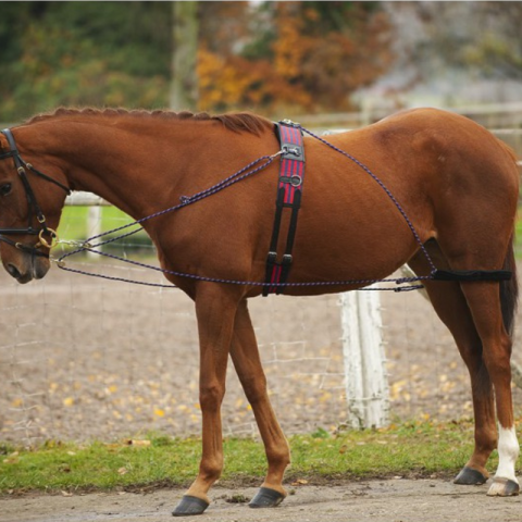 Enrênement à poulies NORTON 2