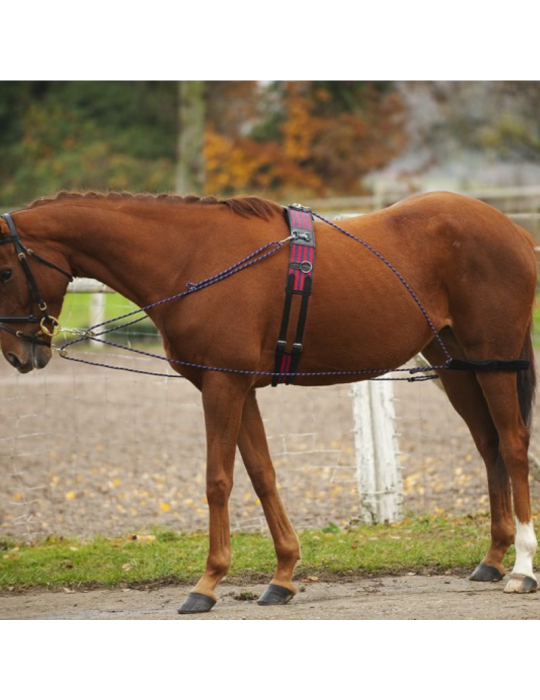 Enrênement à poulies NORTON
