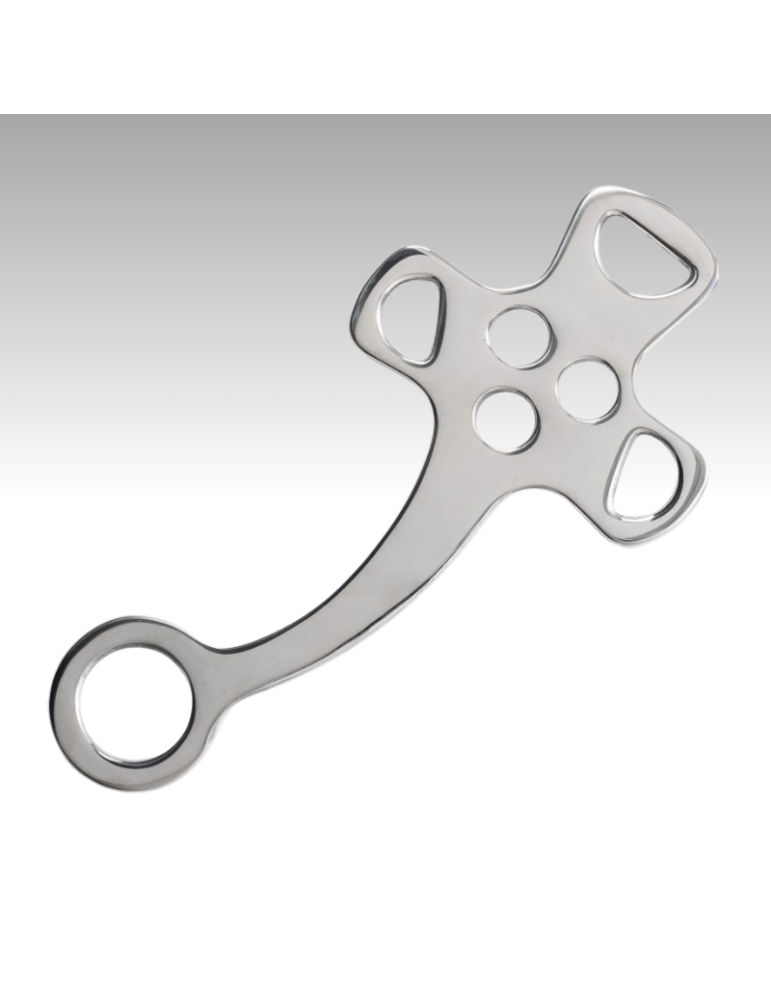 Branches d'Hackamore FEELING