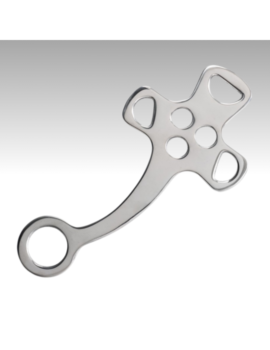 Branches d'Hackamore FEELING