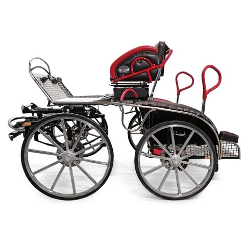 Tiger 220/2P - Glinkowski 2