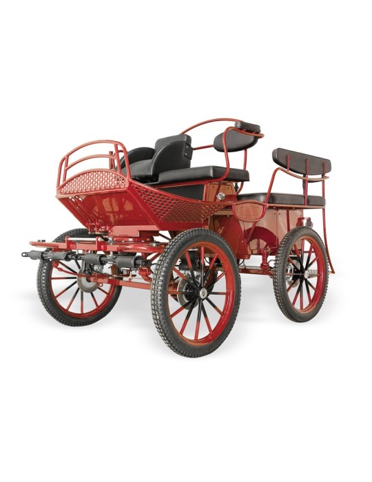 Calèche Treningswagen TR5 126 - GLINKOWSKI