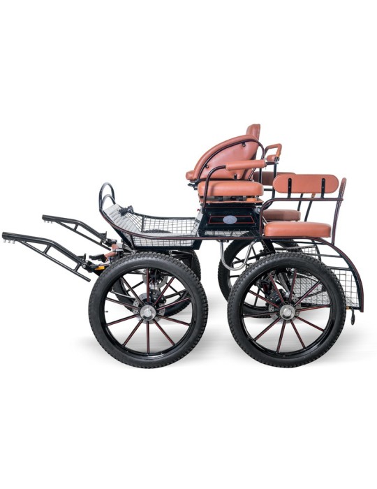 Marathon NS 220 solo - GLINKOWSKI