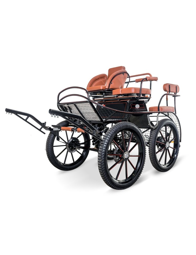 Marathon NS 220 solo - GLINKOWSKI