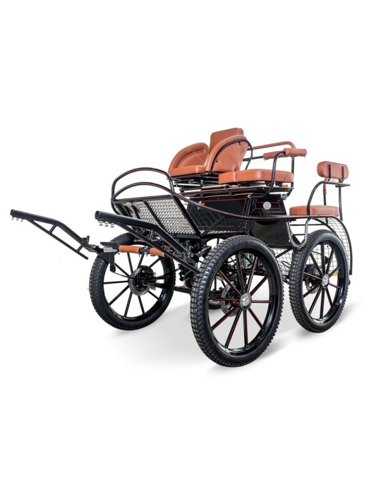 Marathon NS 220 solo - GLINKOWSKI