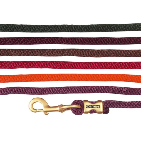 Longe d'attache EQUITHEME 2