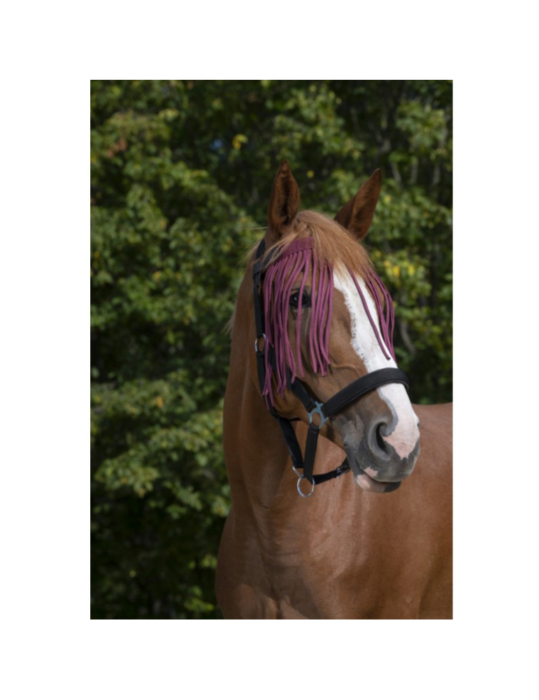 Frontal chasse-mouches - NORTON