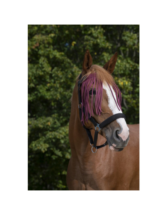 Frontal chasse-mouches - NORTON