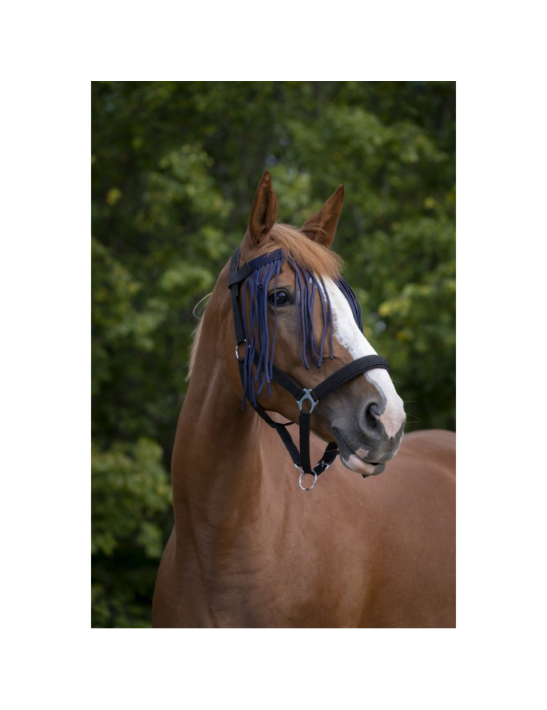 Frontal chasse-mouches - NORTON