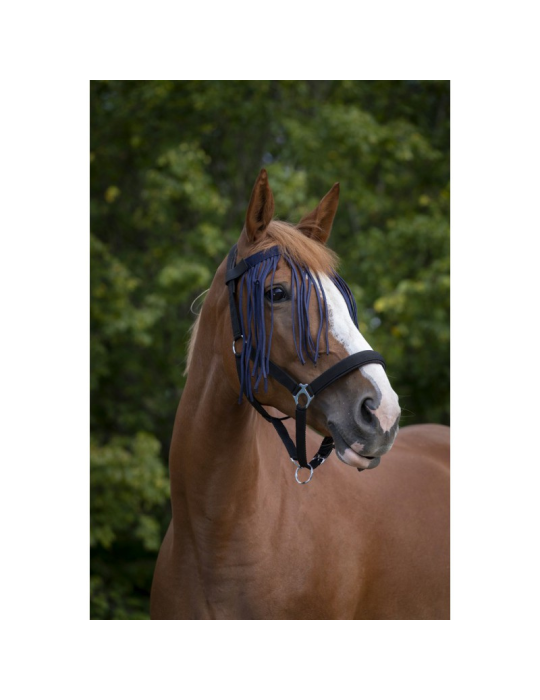 Frontal chasse-mouches - NORTON