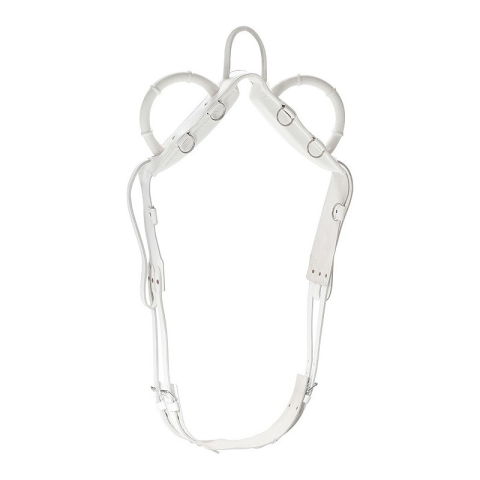 Surfaix de voltige - NORTON